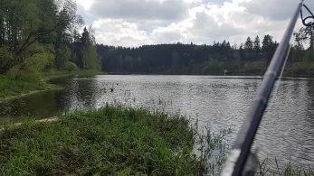 Wisentastausee (Grochwitz)-1