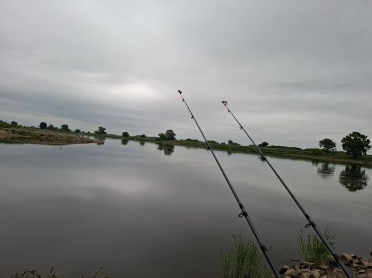 Elbe (Niegripp) -1