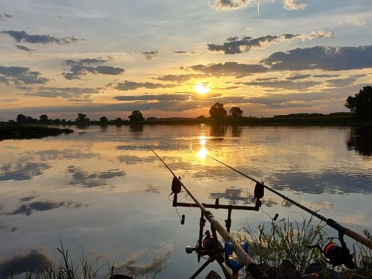 Elbe (Niegripp) -3