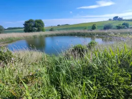 Bibelpfuhl (Ladentin)