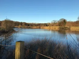 Schindlerteich (Grönwohld)