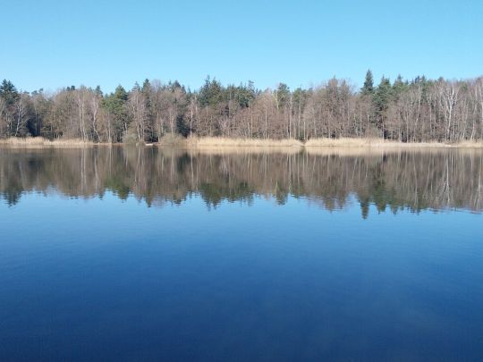 Steineweiler Weiher