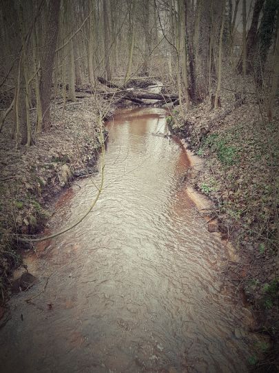 Hache (Neubruchhausen)-1