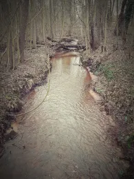 Hache (Neubruchhausen)-1