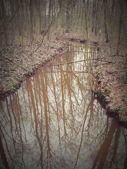 Hache (Neubruchhausen)