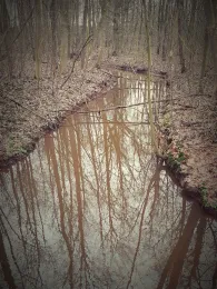 Hache (Neubruchhausen)