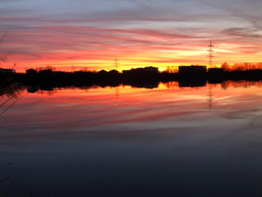 Walther-See (Bruchsal)