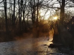 Erms (Neckartenzlingen)