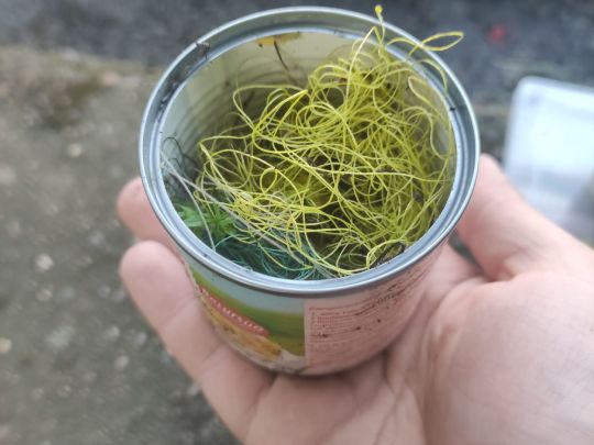 Obersee (Berlin-Hohenschönhausen)