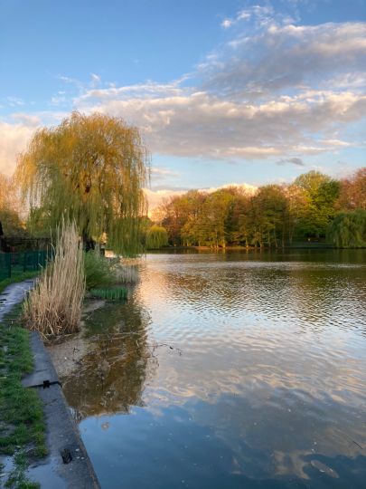 Obersee (Berlin-Hohenschönhausen)-1