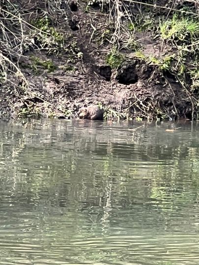 Ohm (Cölbe-Bürgeln)-1