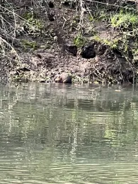 Ohm (Cölbe-Bürgeln)-1