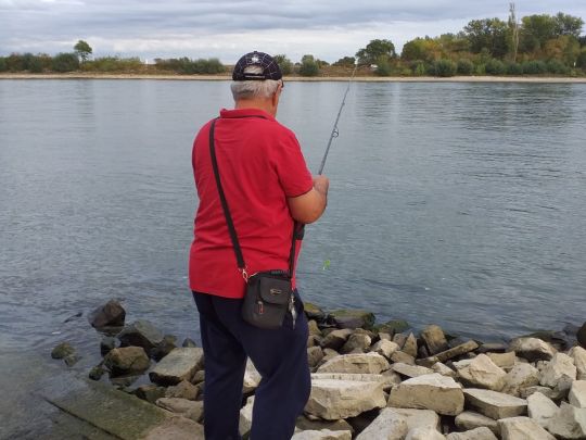 Rhein (Altrip-Rheinau)-3