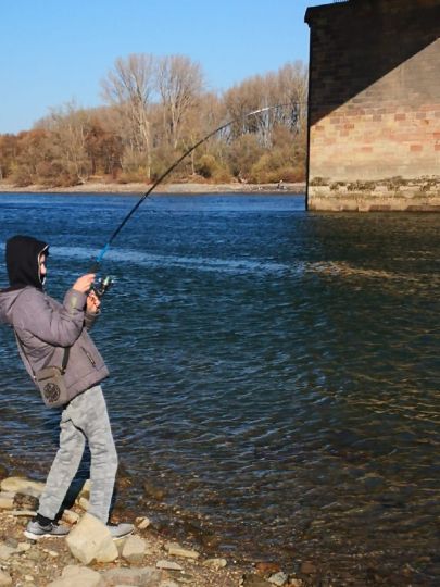 Rhein (Altrip-Rheinau)-4