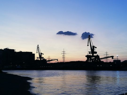 Rhein (Altrip-Rheinau)-1