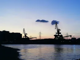 Rhein (Altrip-Rheinau)-1