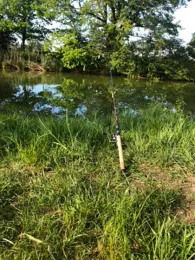 Baggerweiher Seethal (Übersee)-2
