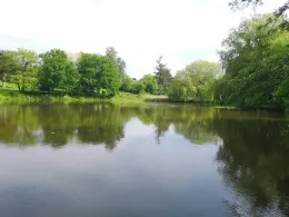 Hüholz-Teiche (Kappeln)-2