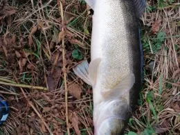 Steinbruch (Neusorg)-2