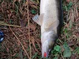 Steinbruch (Neusorg)-4