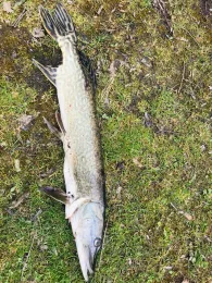 Steinbruch (Neusorg)-3