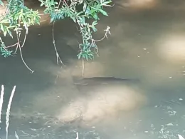 Rotach (Friedrichshafen)