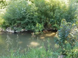 Rotach (Friedrichshafen)-1