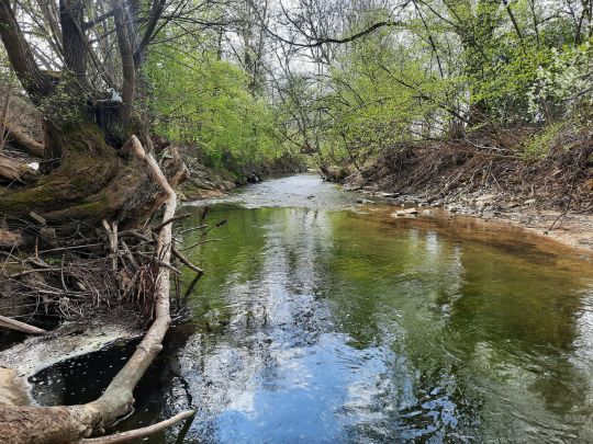 Rotach (Friedrichshafen)-3