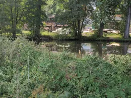 Steinach (Marktgraitz)