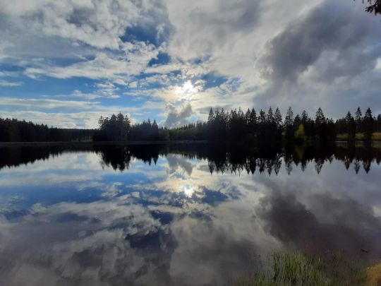 Bärenbrucher Teich ALLE ANGELN