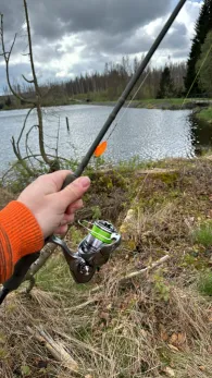 Bärenbrucher Teich-1