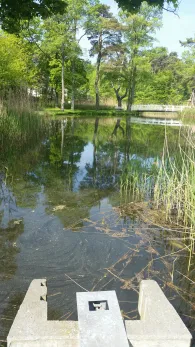 Karpfenteich (Kühlungsborn)-1