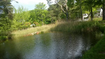 Karpfenteich (Kühlungsborn)-2