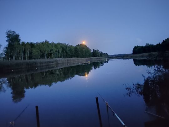 Senftenberger See