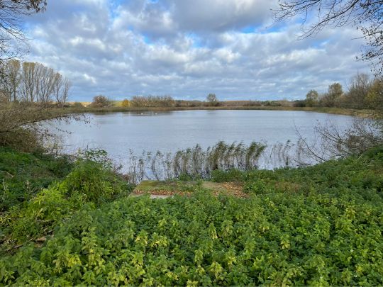 Roter See (Velgast)