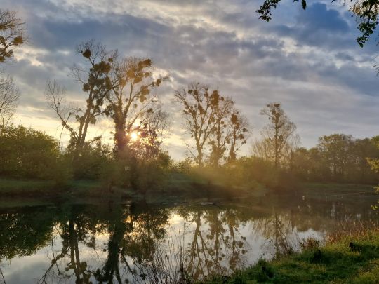 Kiesgrube Oppenheim-1