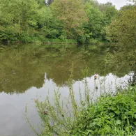 Lahn (Fachbach-Nievern)