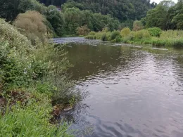 Lahn (Fachbach-Nievern)-4