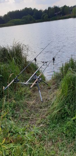 Unterer Teich (Stiege) angeln