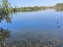 Visvijver Stevensweert-2