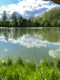 Teichanlage Staden (Florstadt)