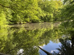 Ilandteich-2