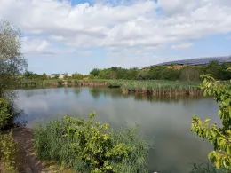 Tongrube Topfstedt-4