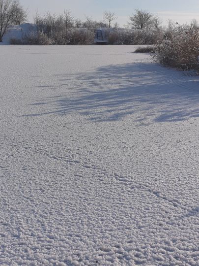 Tongrube Topfstedt-2