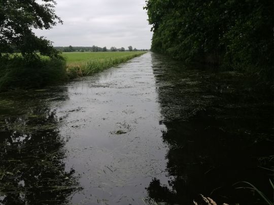 Elde-Rögnitz-Überleiter-4