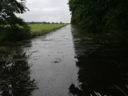 Elde-Rögnitz-Überleiter-4