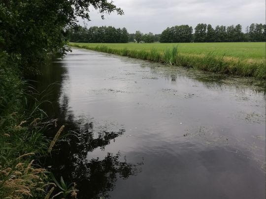 Elde-Rögnitz-Überleiter-3