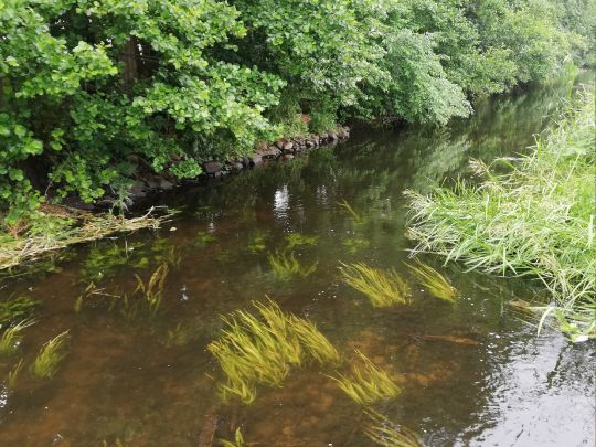 Elde-Rögnitz-Überleiter-2