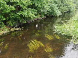 Elde-Rögnitz-Überleiter-2