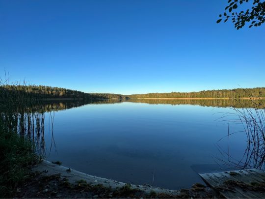 Schwansee (Jamlitz)-2